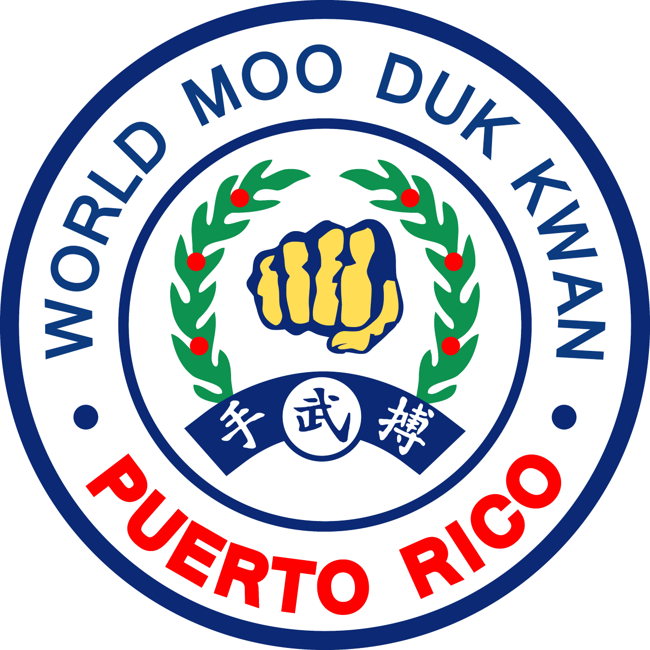 patch-wmdk-puerto-rico-hq